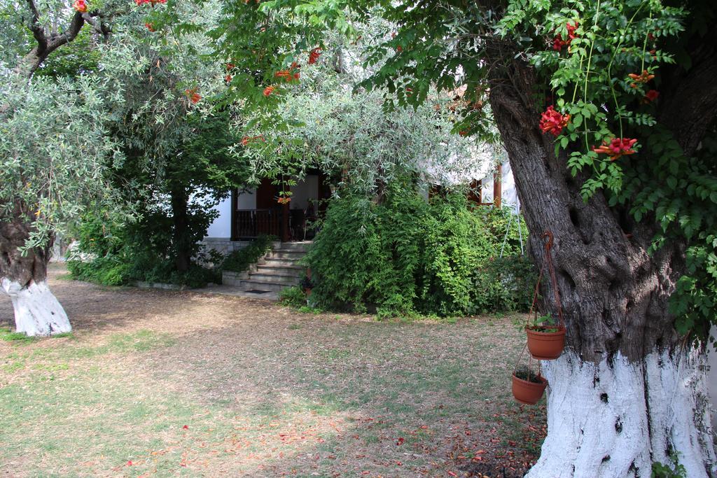 Patroudis House Lejlighed Skala Rachoni  Værelse billede